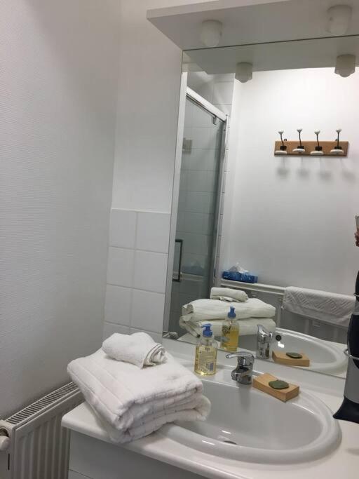 Bel Appartement Climatise Plein Centre Ville Poitiers Eksteriør billede